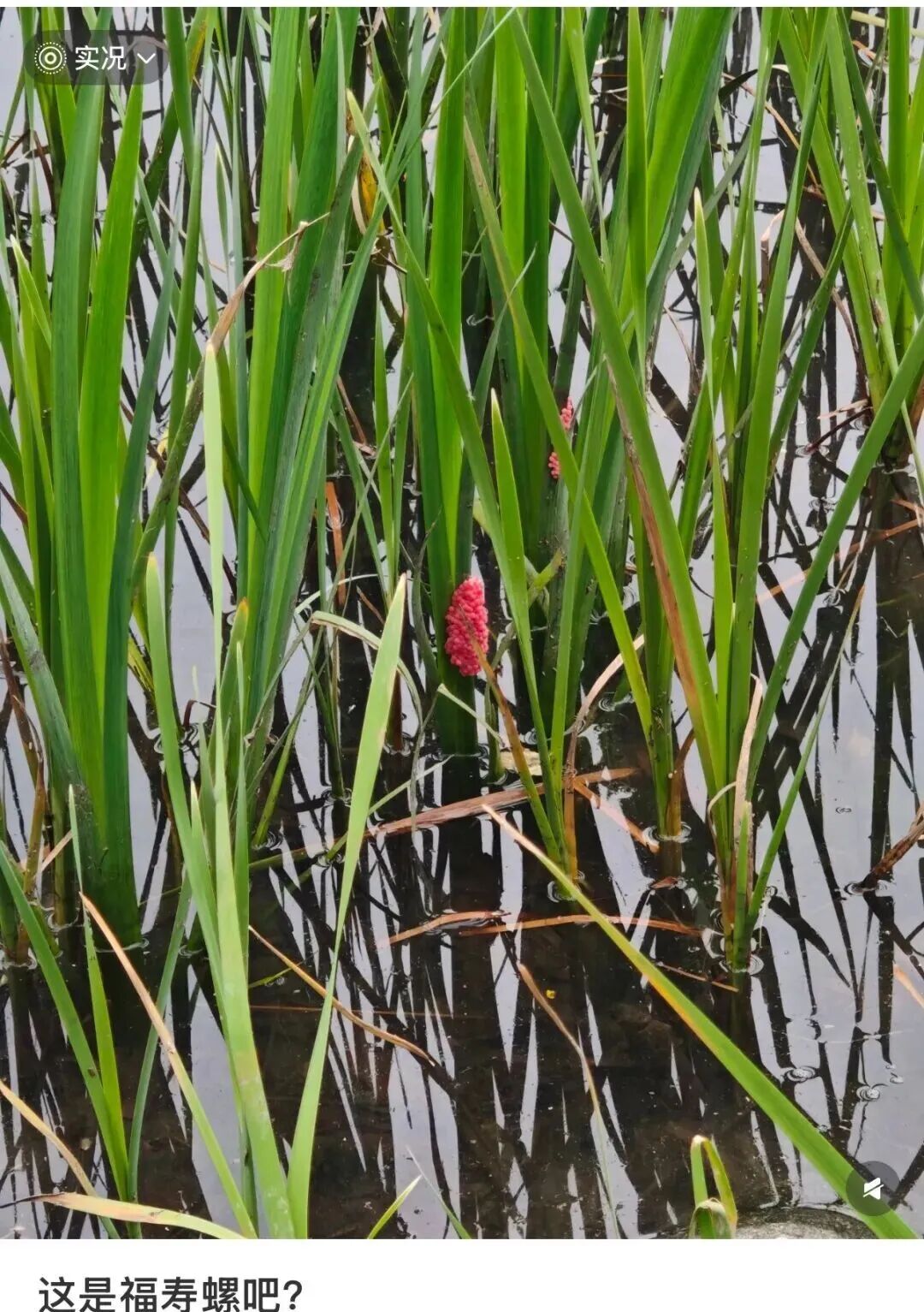 昆明广播电视台