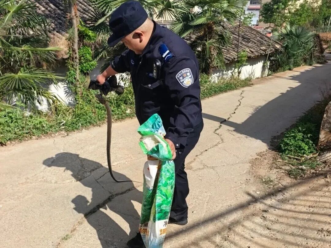 都市时报