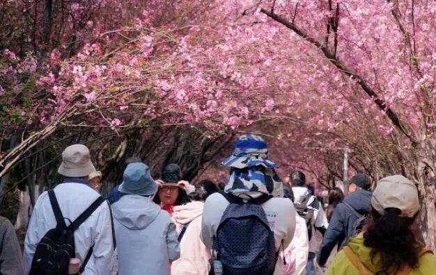 8099999街头巷尾微信