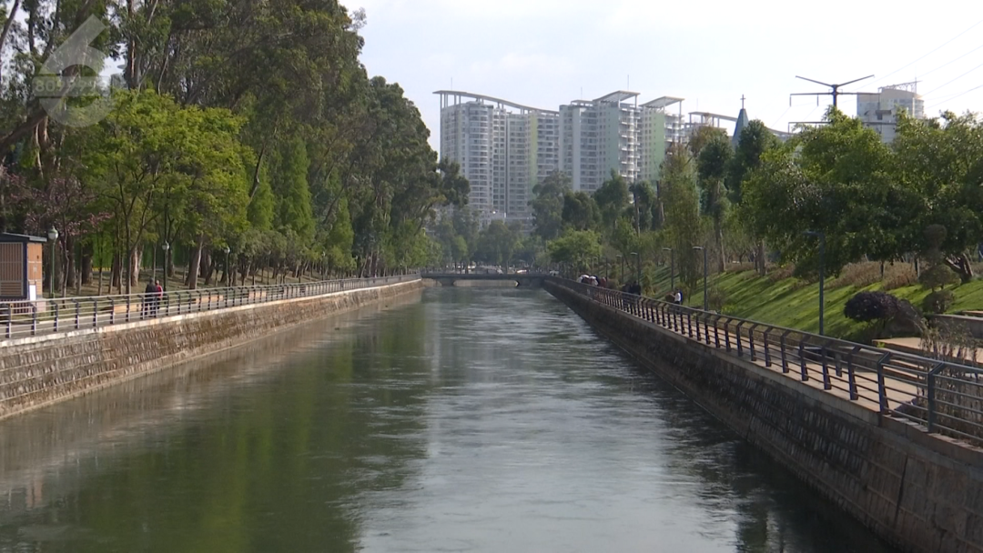 8099999街头巷尾微信