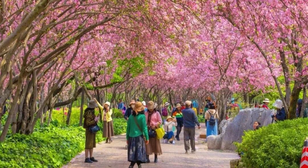 都市时报