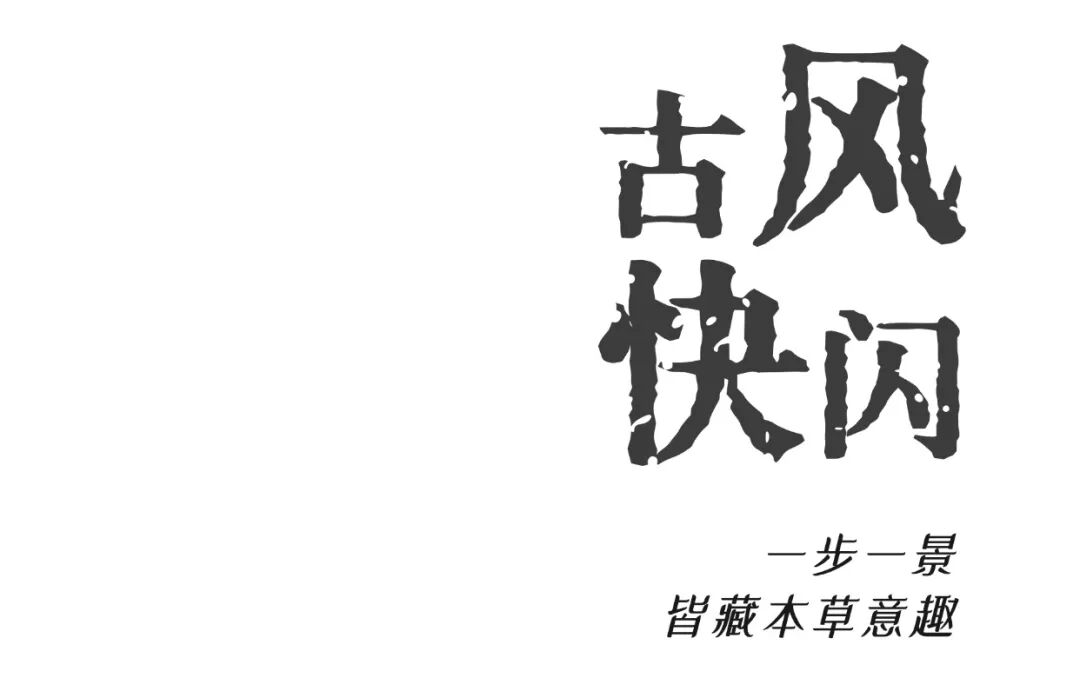 官渡国投