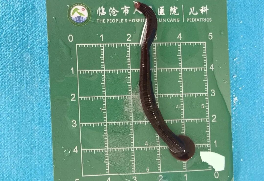 都市时报