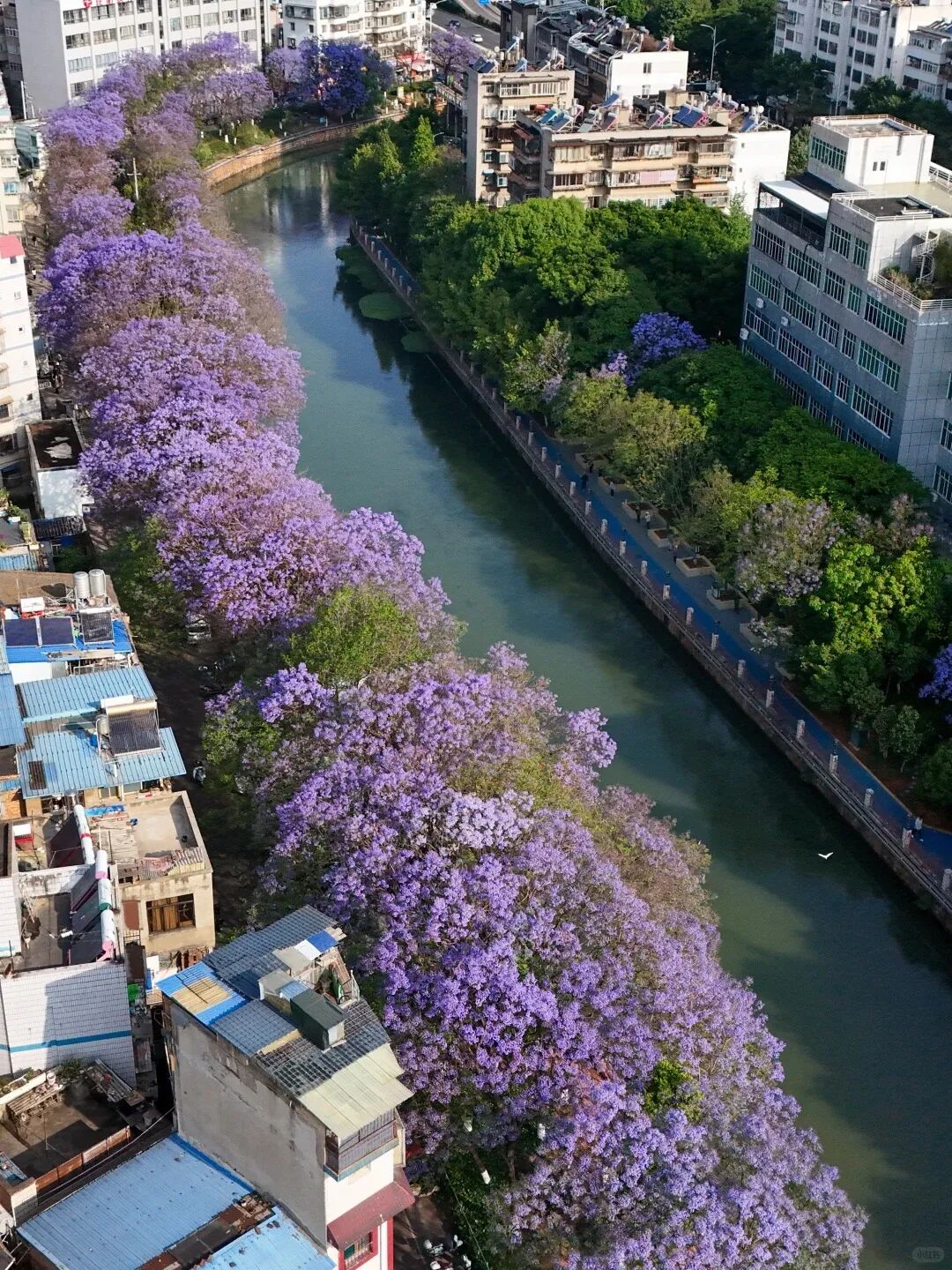 街头巷尾