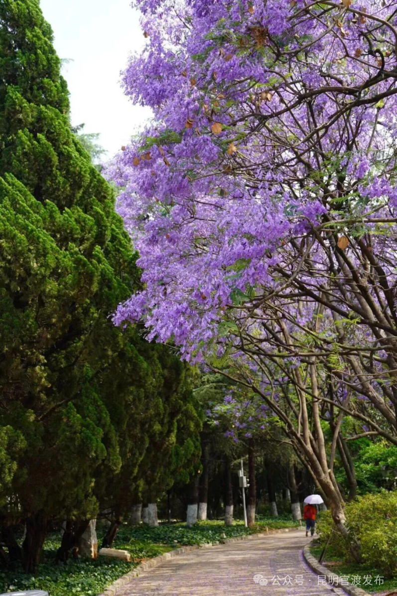 街头巷尾