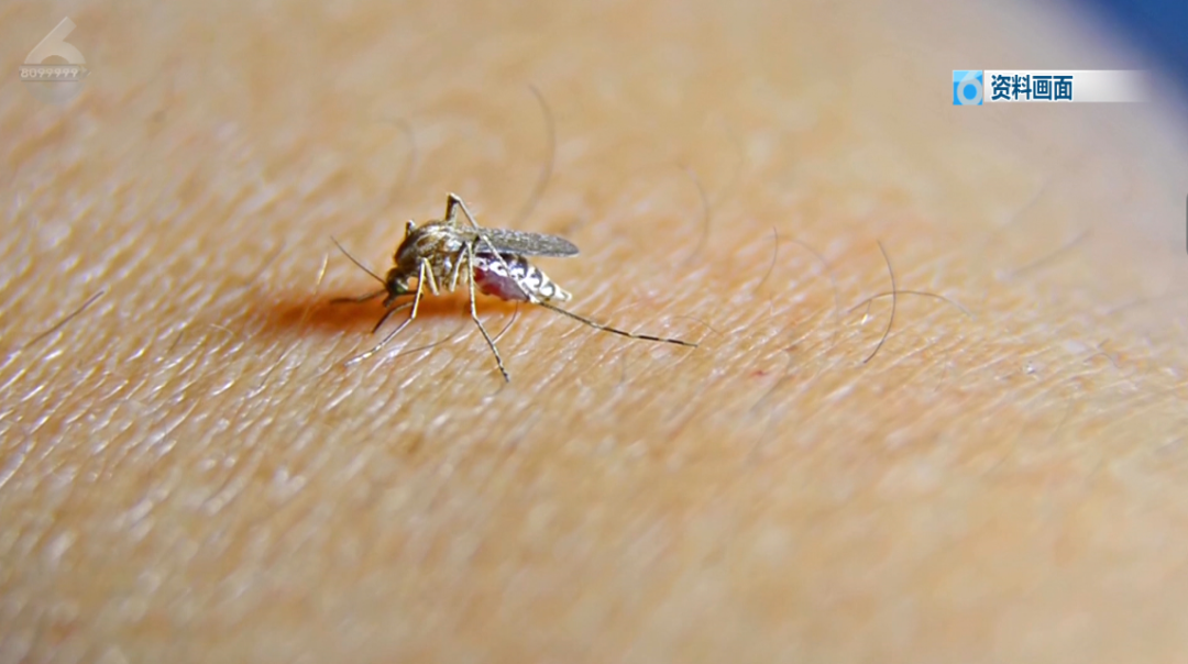 8099999街头巷尾微信