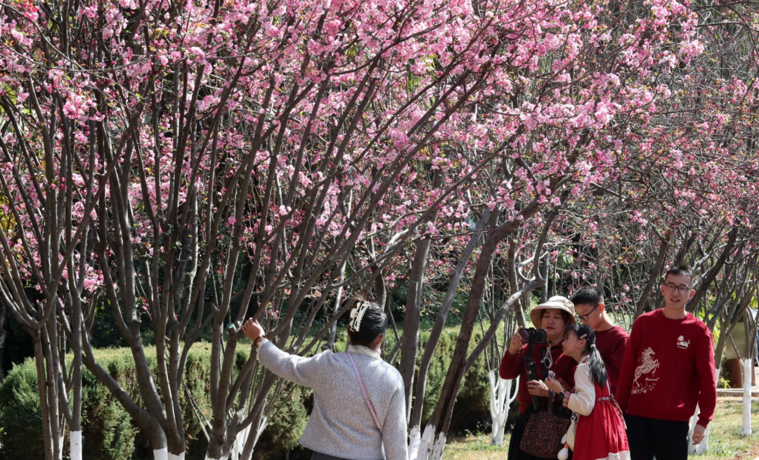 8099999街头巷尾微信