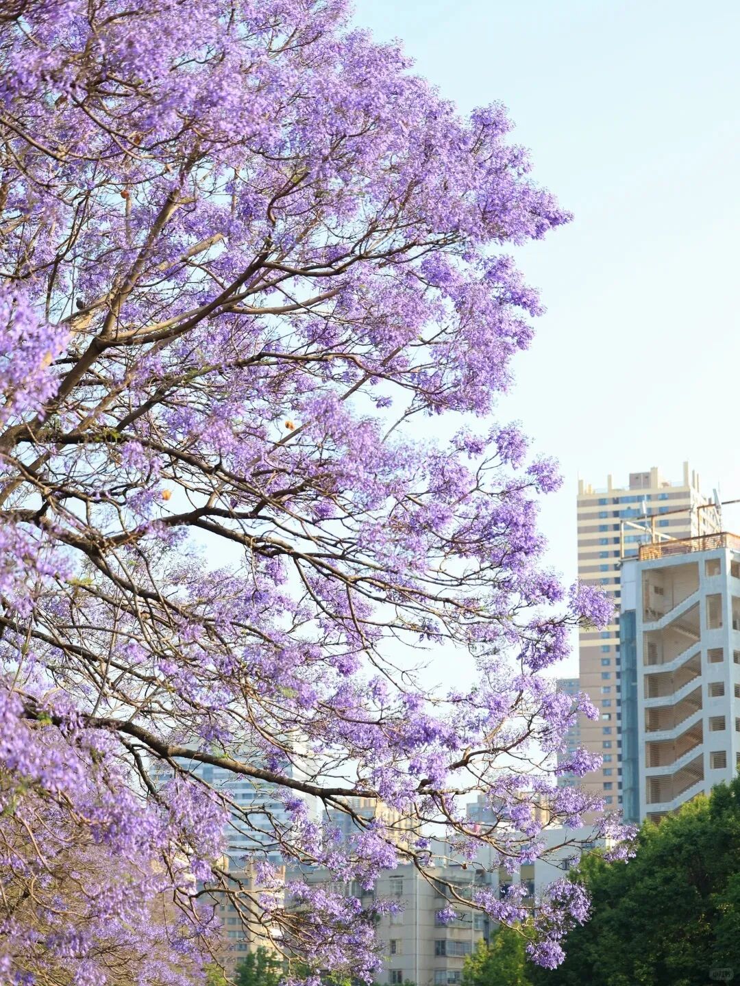 街头巷尾