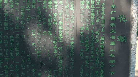 8099999街头巷尾微信