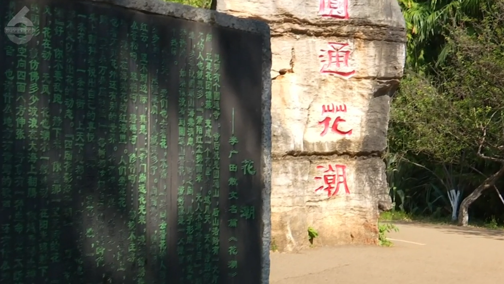 8099999街头巷尾微信