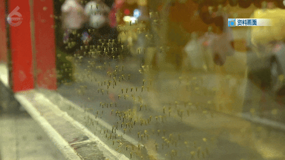 8099999街头巷尾微信