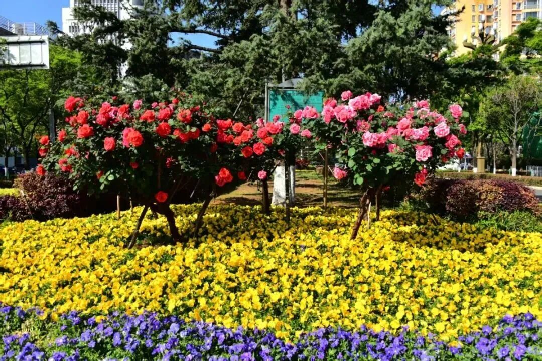 街头巷尾