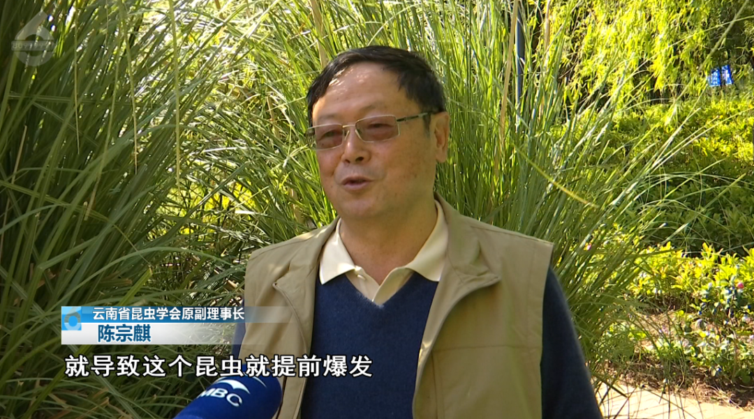 8099999街头巷尾微信