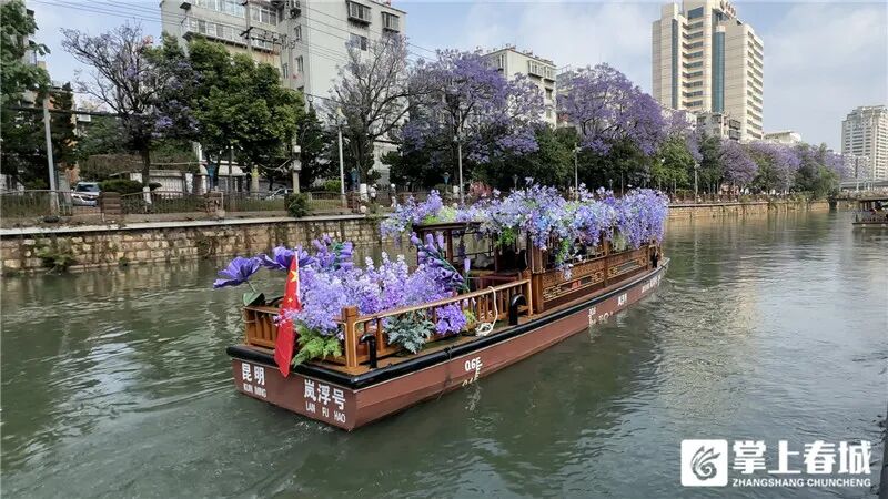 掌上春城微信