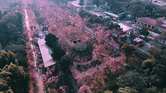 8099999街头巷尾微信