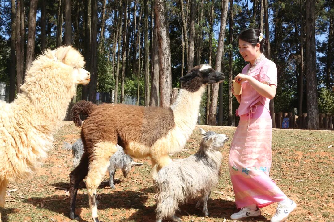 街头巷尾