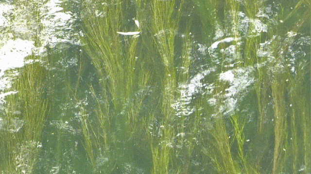 8099999街头巷尾微信