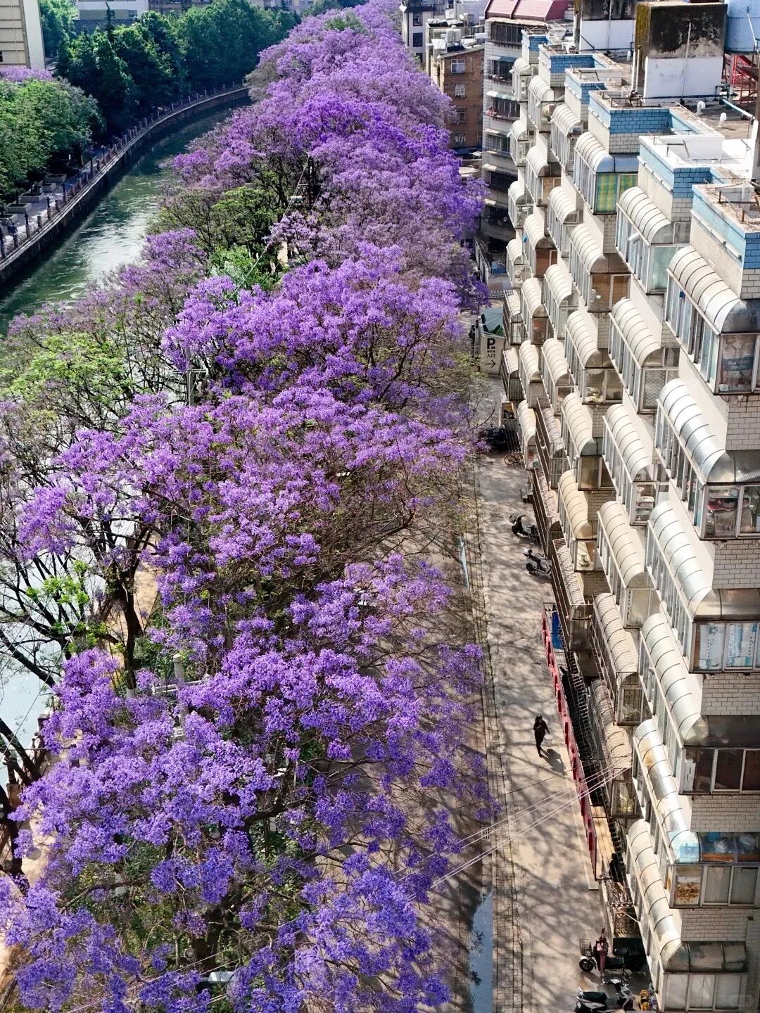 街头巷尾