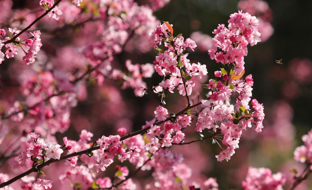 8099999街头巷尾微信