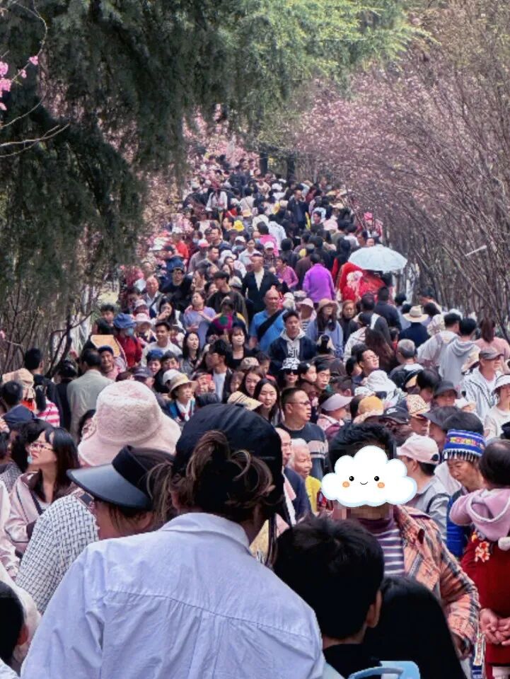 8099999街头巷尾微信