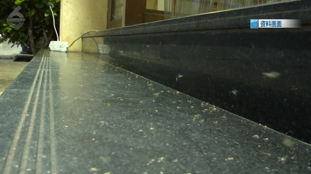 8099999街头巷尾微信