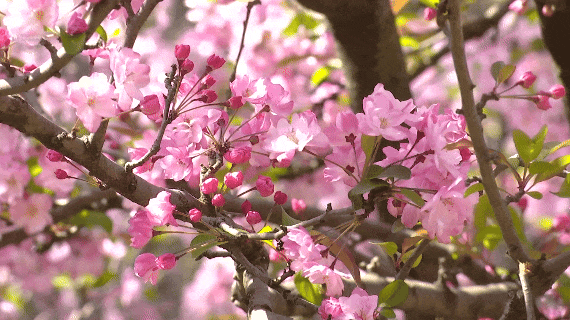 8099999街头巷尾微信