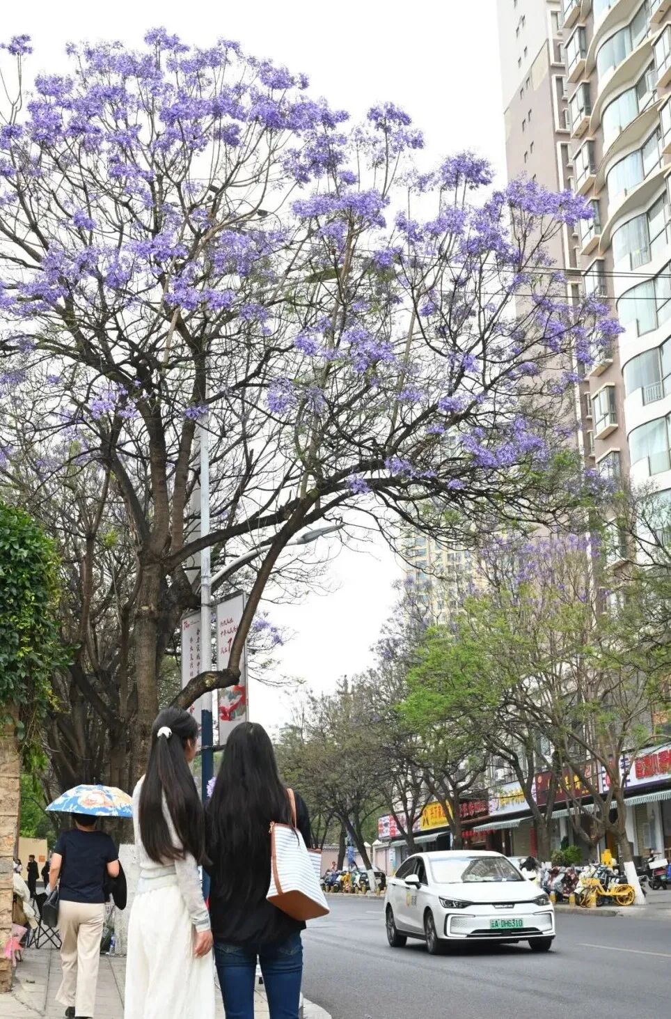 街头巷尾