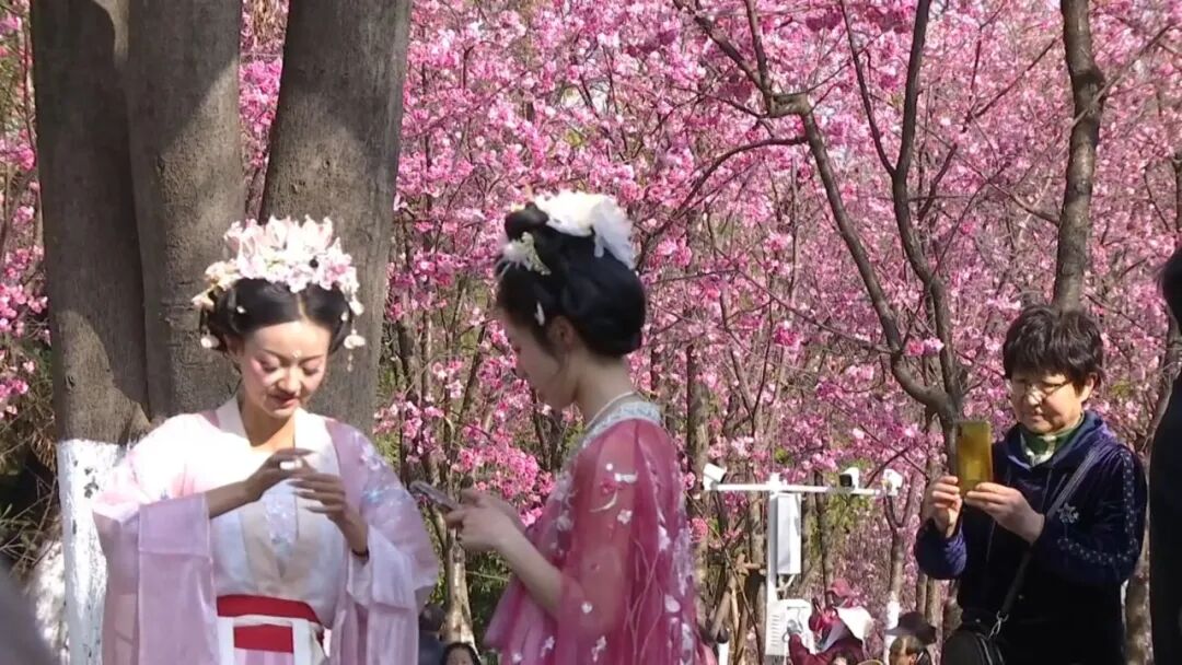 8099999街头巷尾微信