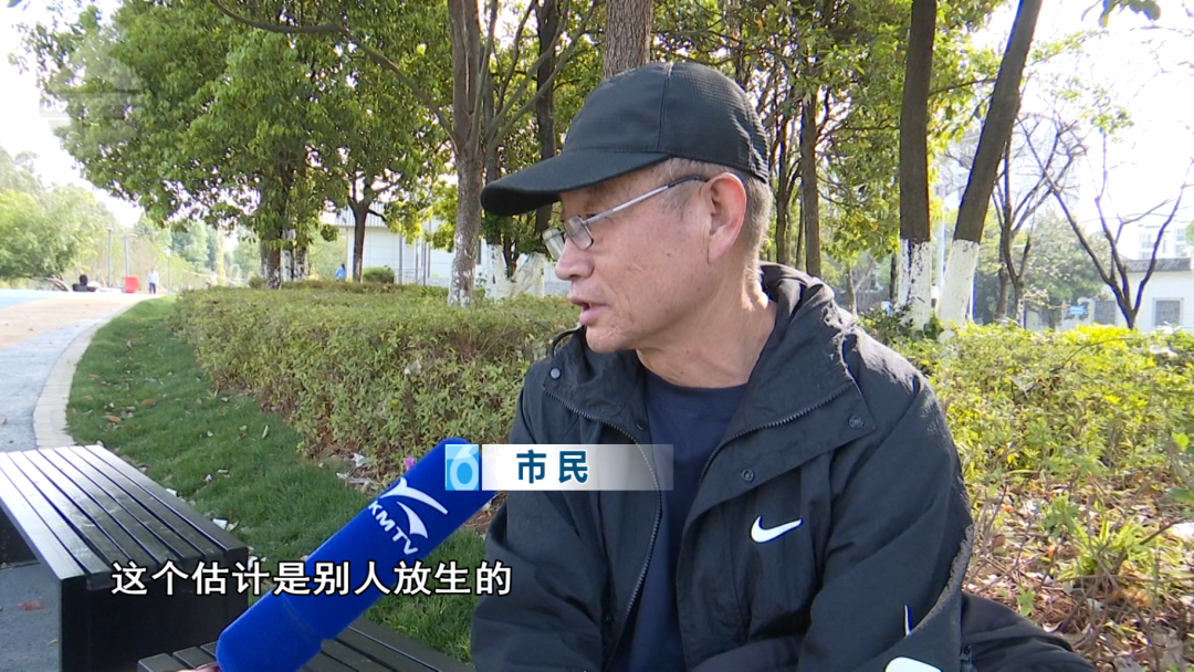 8099999街头巷尾微信