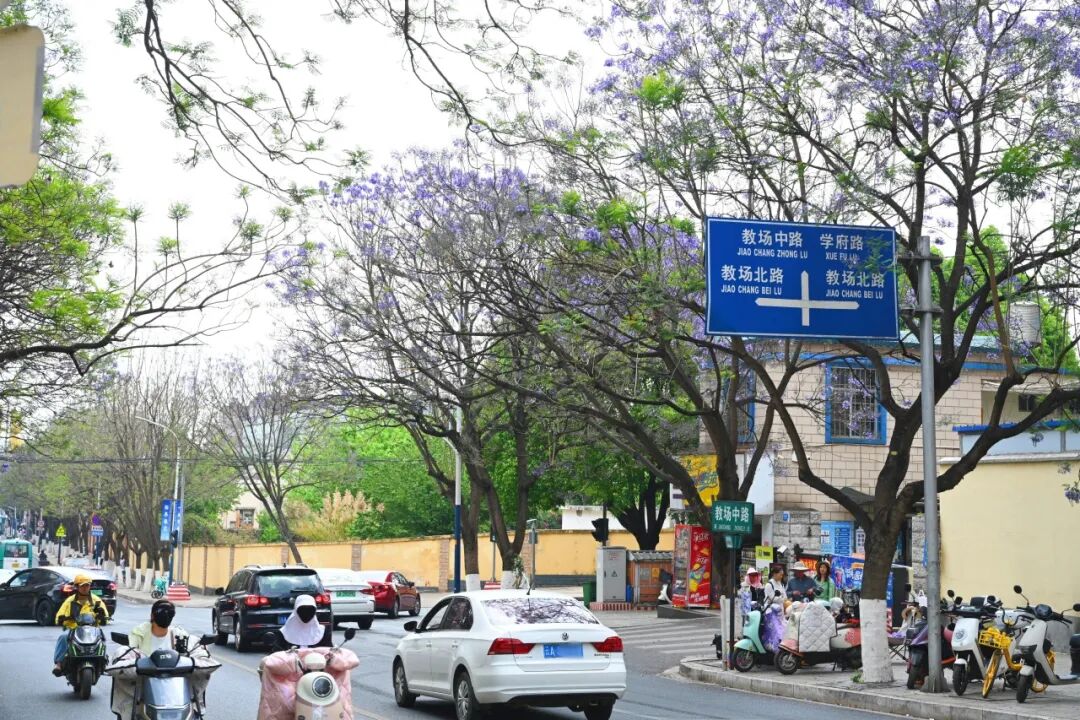 街头巷尾