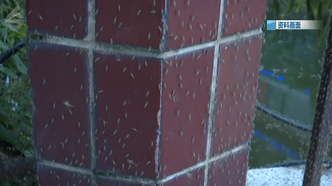 8099999街头巷尾微信