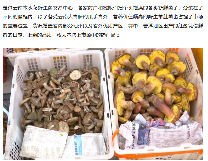 昆明广播电视台