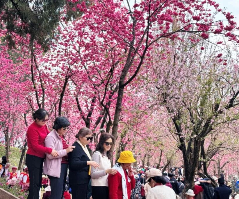 8099999街头巷尾微信