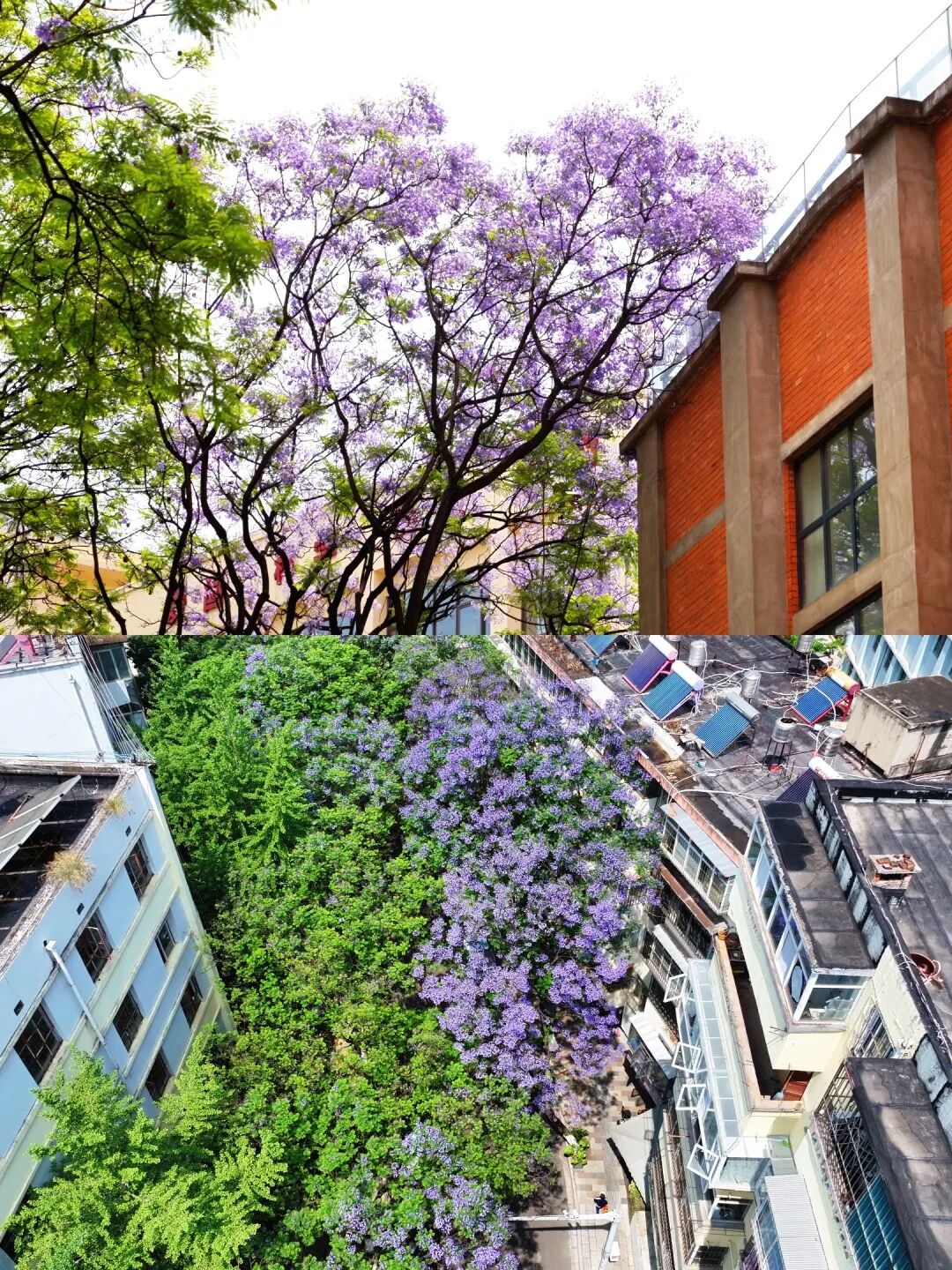 昆明广播电视台经济生活频道