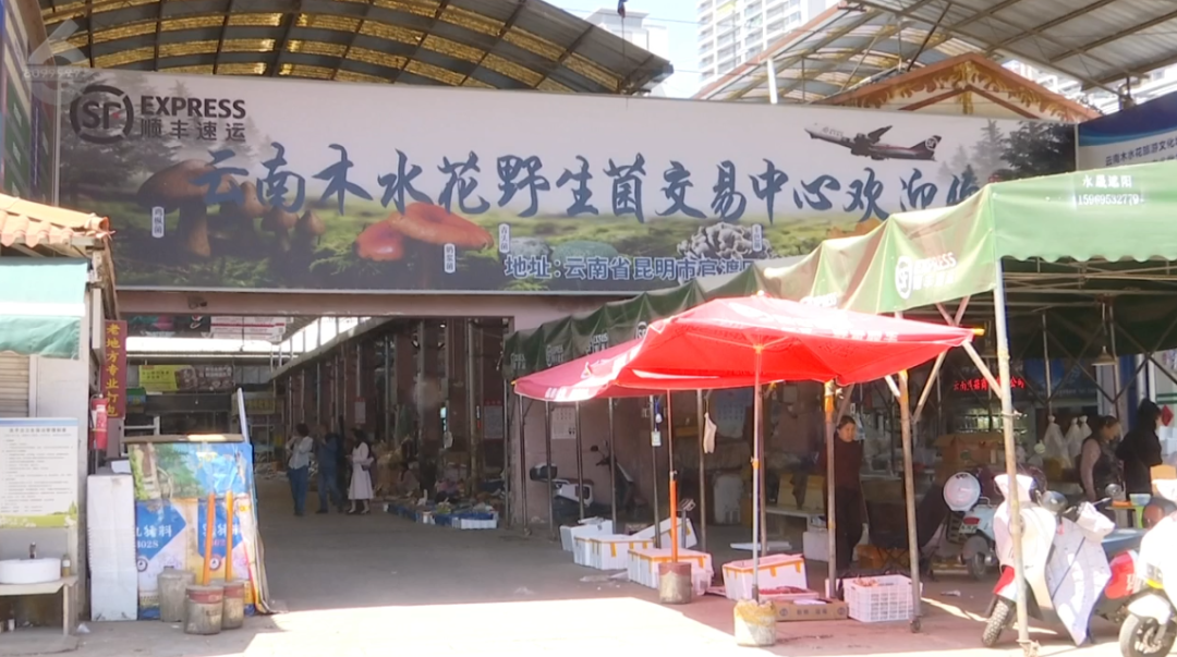 8099999街头巷尾微信