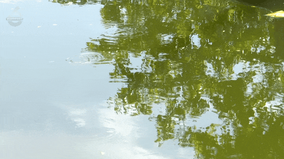 8099999街头巷尾微信