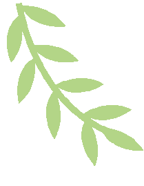 昆明广播电视台