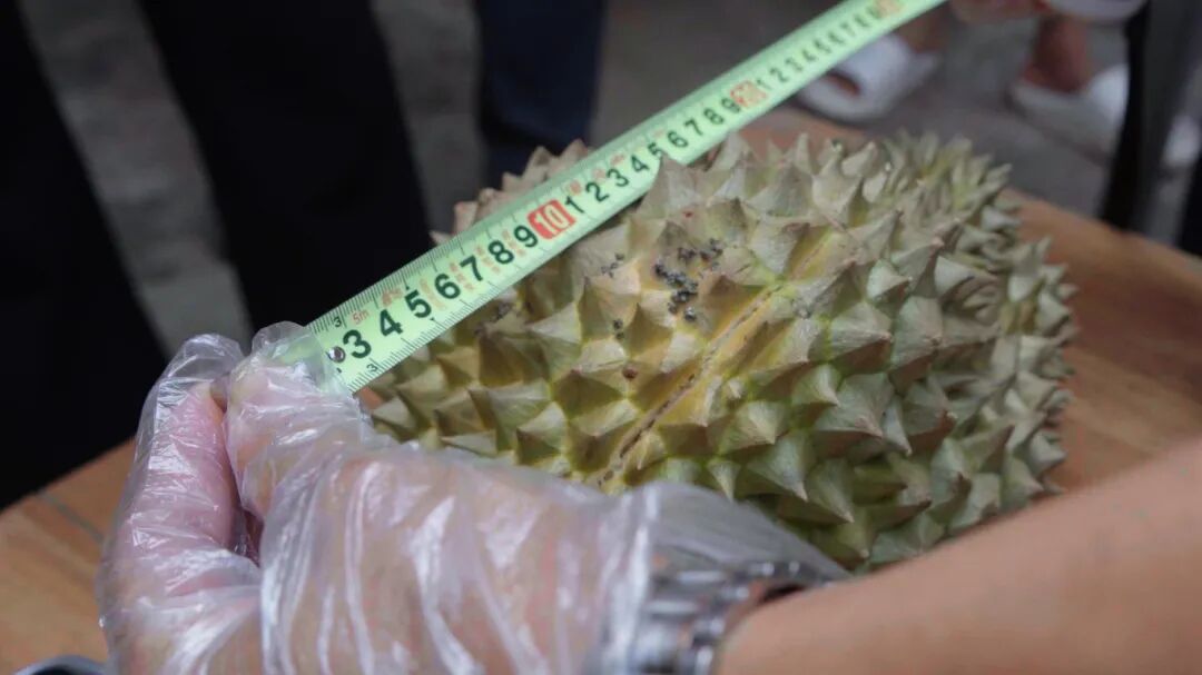 街头巷尾