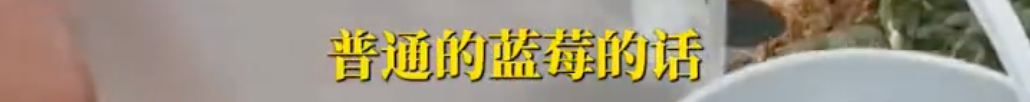 掌上春城微信