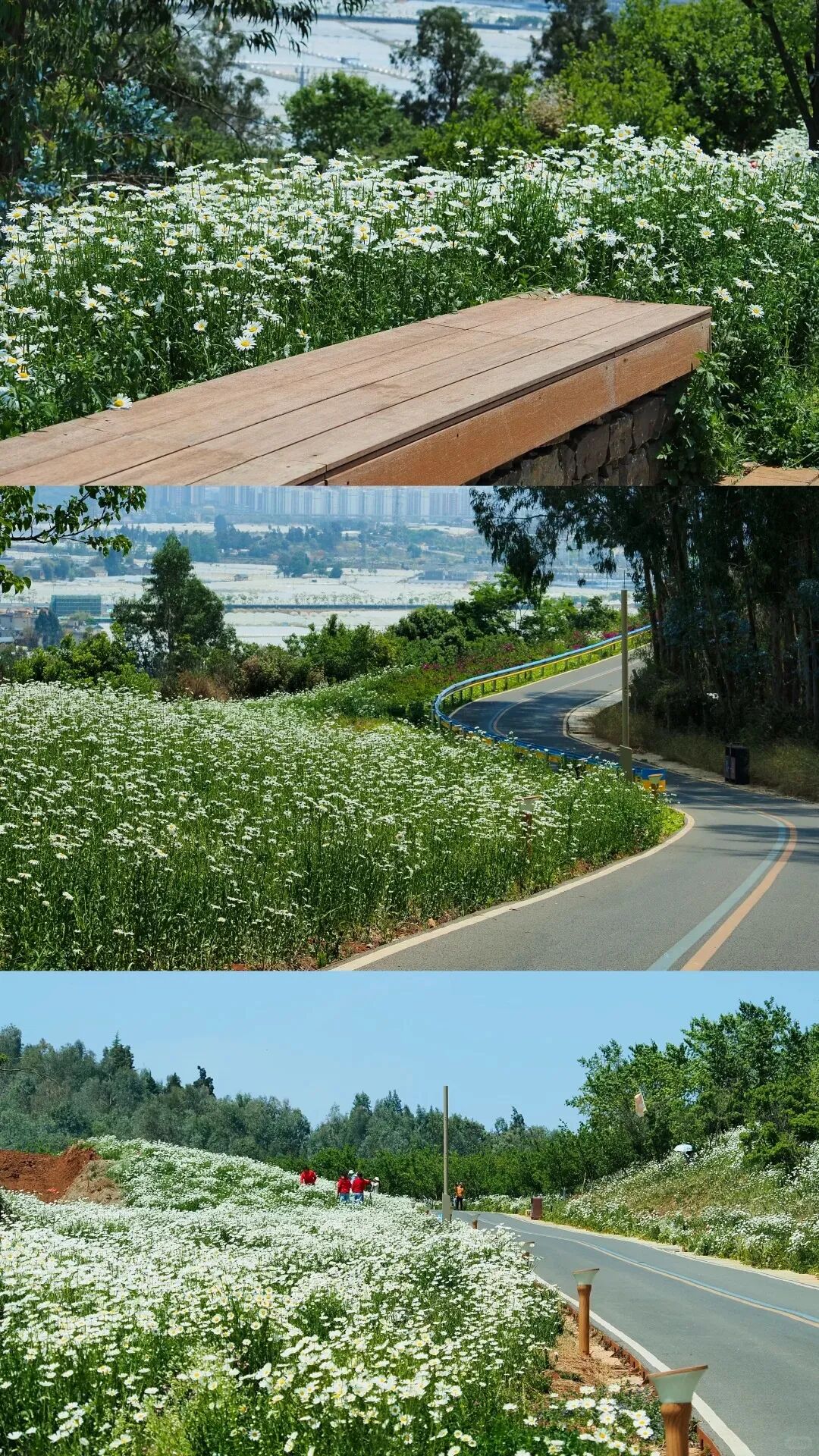 街头巷尾