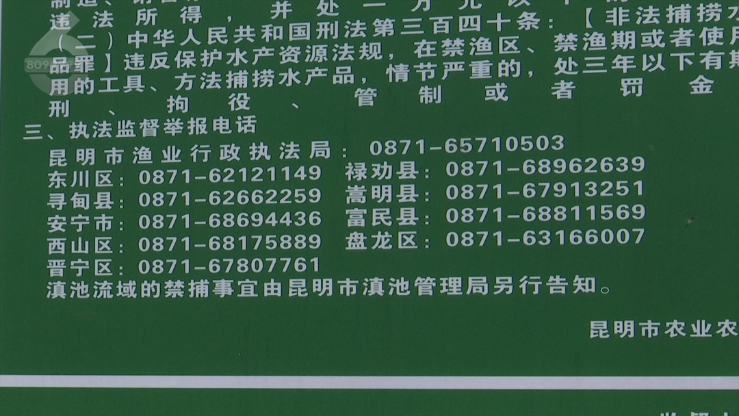 8099999街头巷尾微信