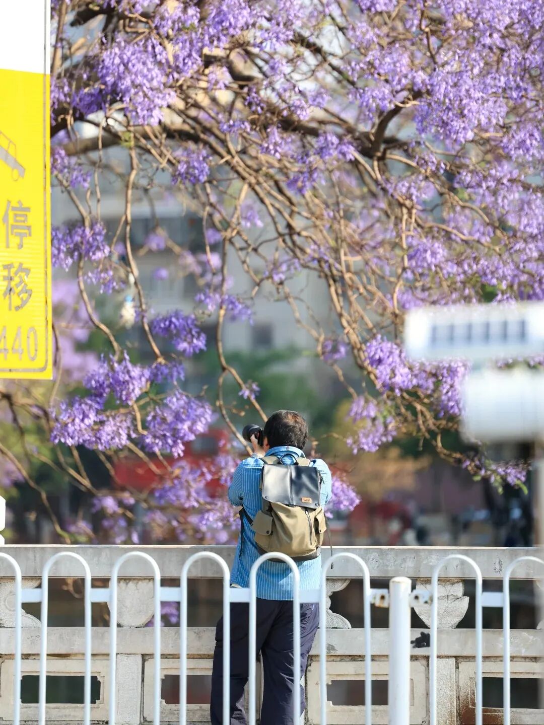 街头巷尾