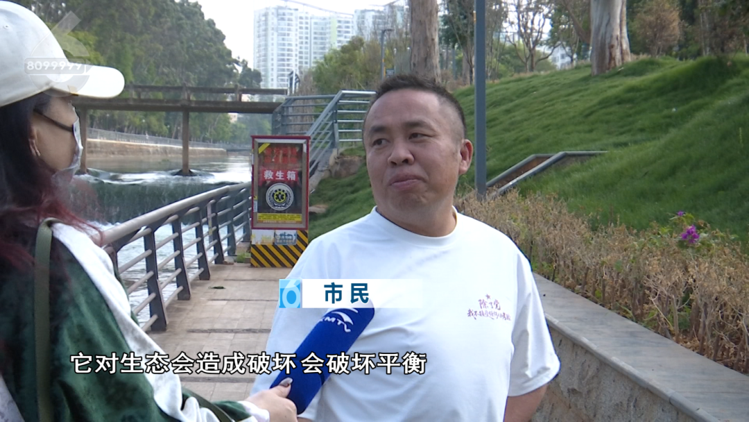 8099999街头巷尾微信