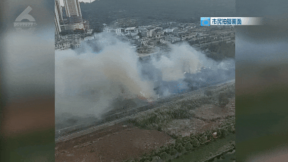8099999街头巷尾微信
