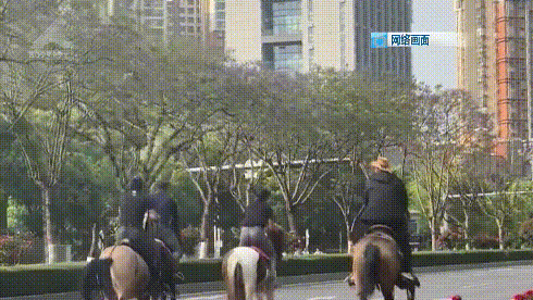 8099999街头巷尾微信
