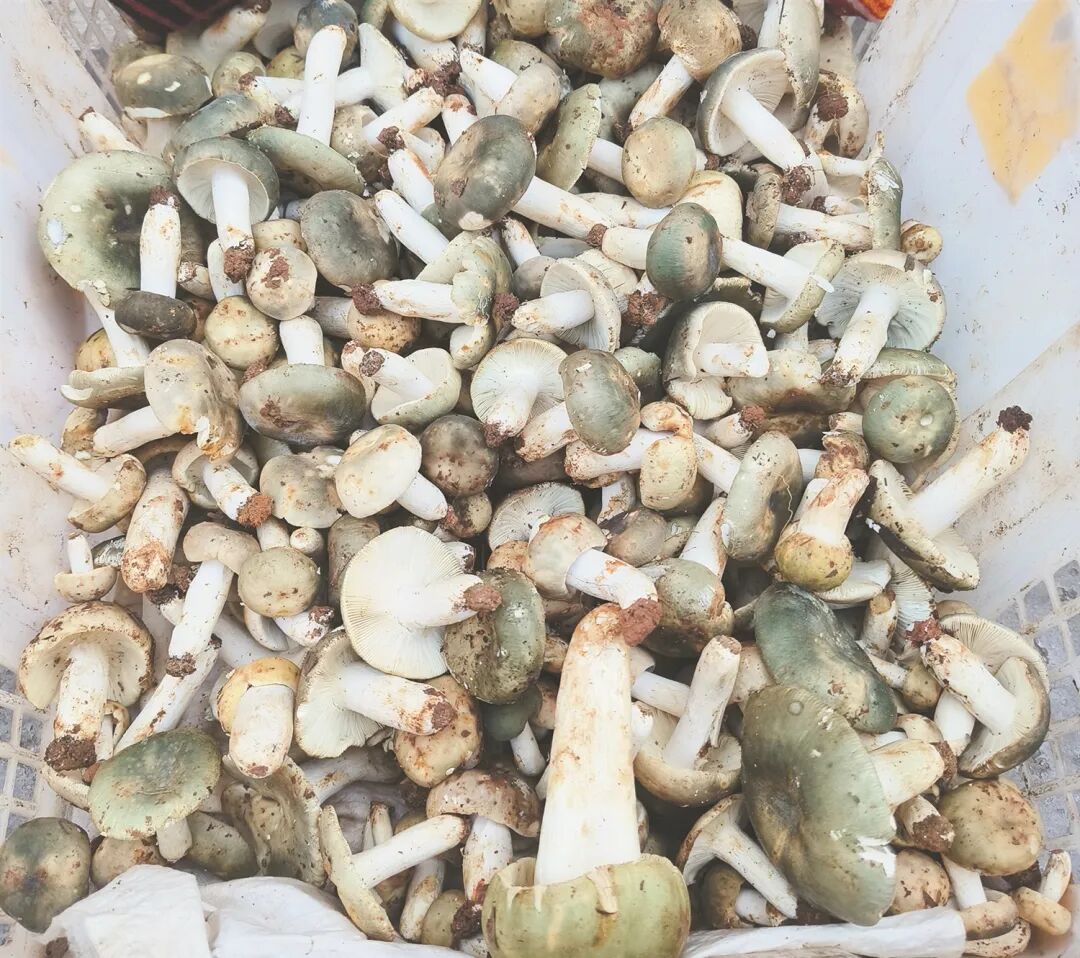 昆报头条