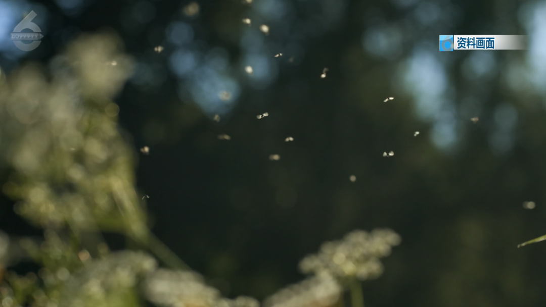 8099999街头巷尾微信