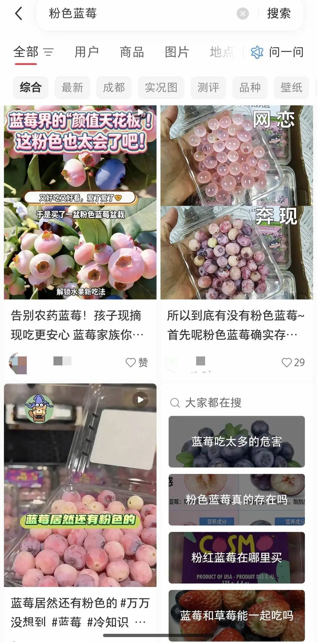 掌上春城微信