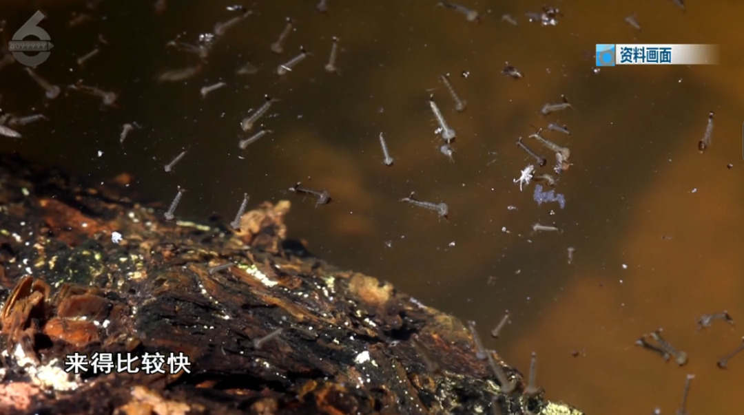 8099999街头巷尾微信