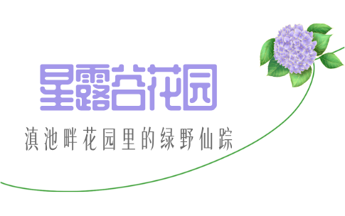 街头巷尾